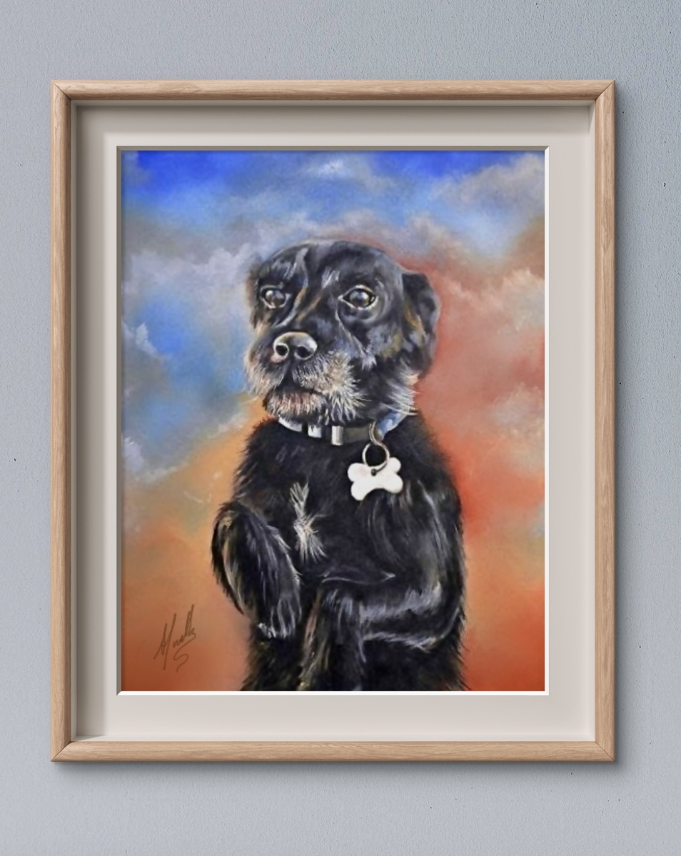 Benji for Brenda Benji for Brenda