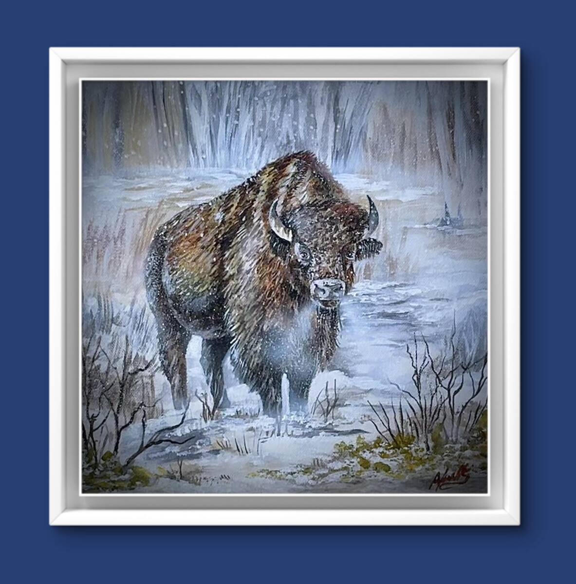 Buffalo Winter Buffalo Winter