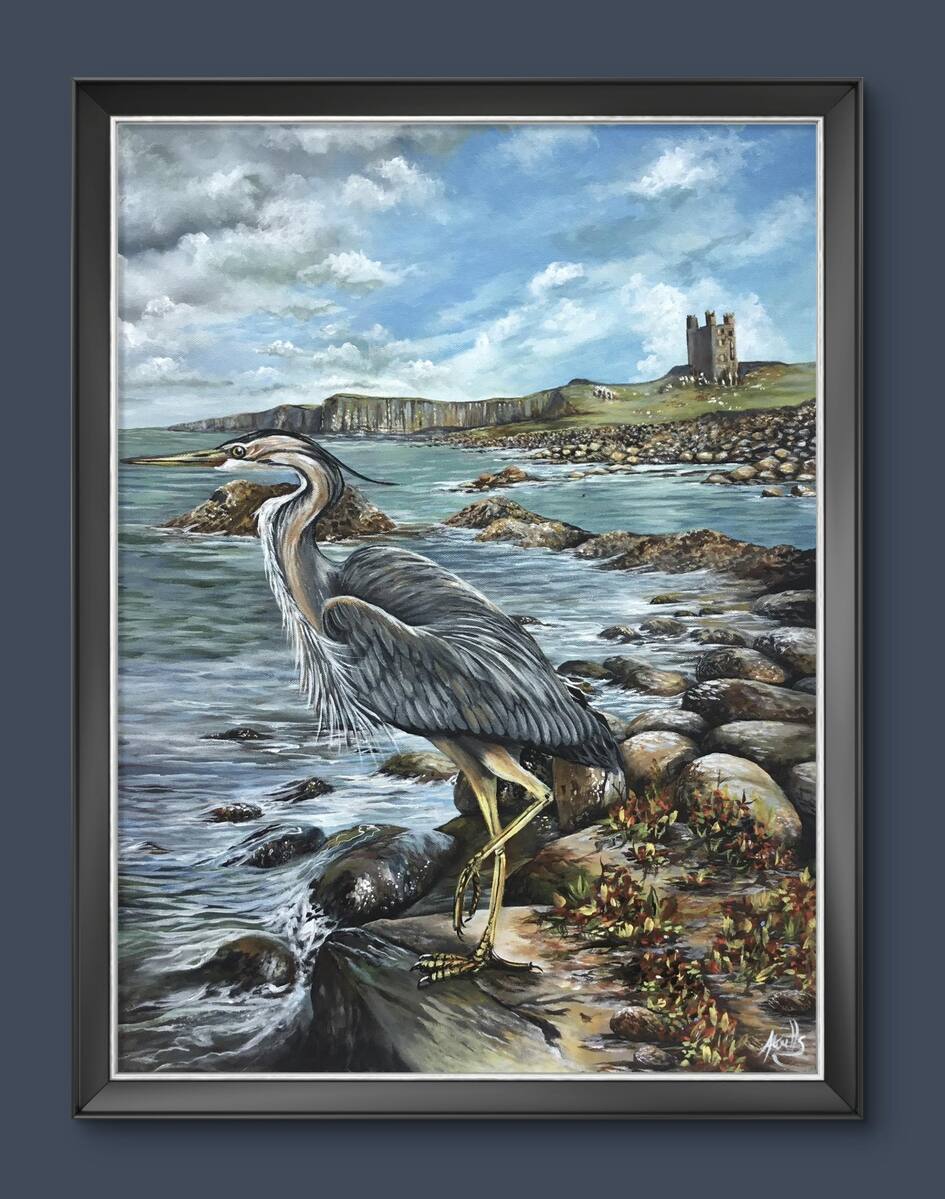 Grey Heron off Bamburgh castle Grey Heron off Bamburgh castle