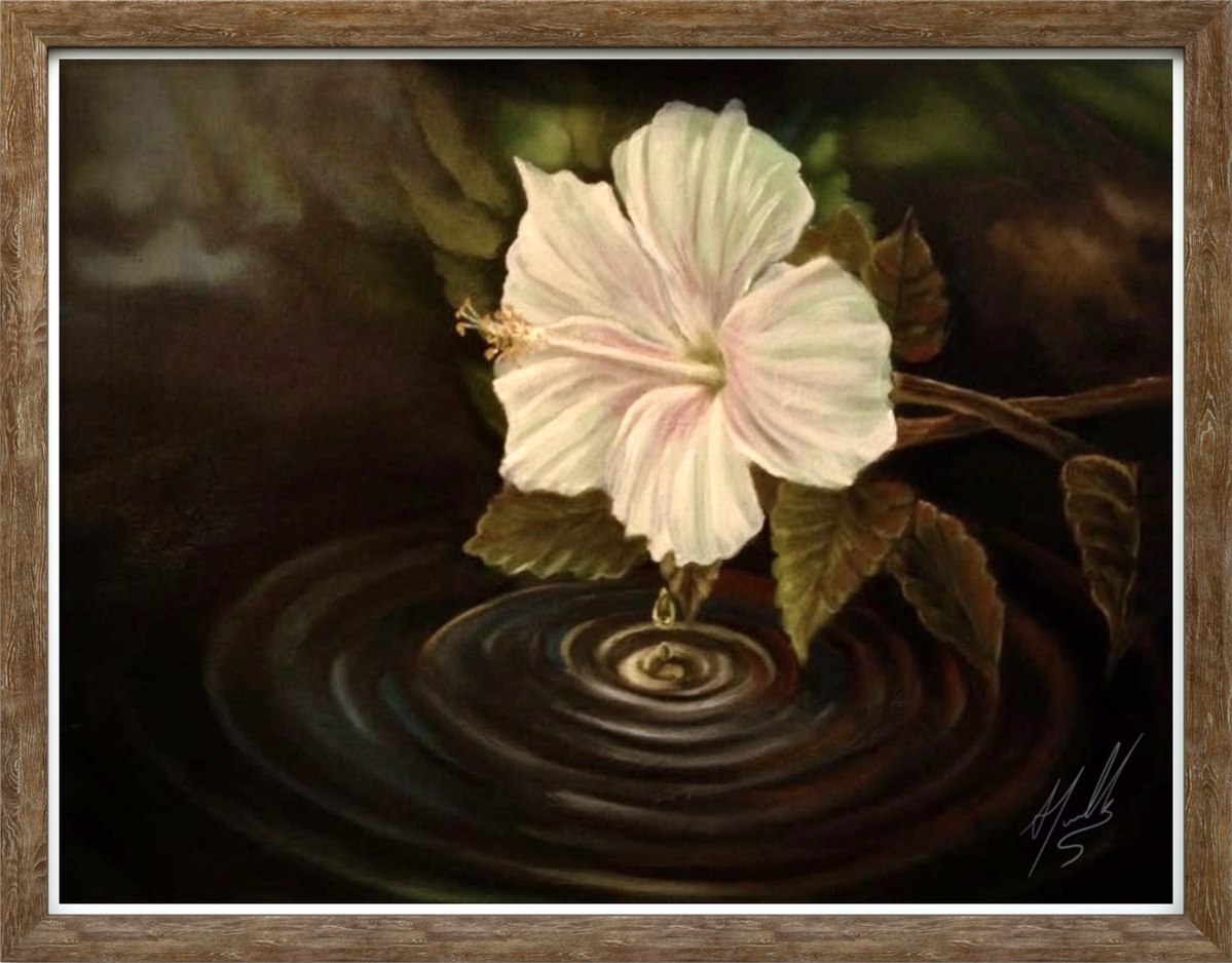 Orchid on pond  Orchid on pond