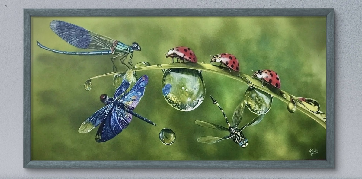 Mornings Dew Mornings Dew