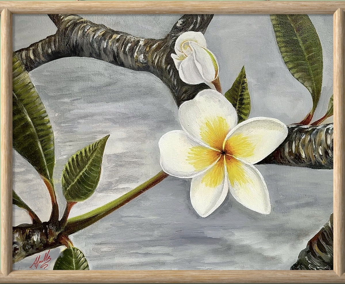 Sampaguita Philippines National flower Sampaguita Philippines National flower