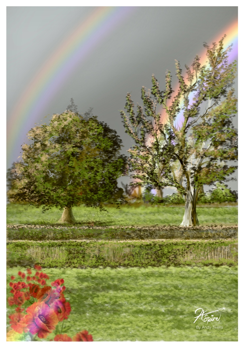 Catching the Rainbow 