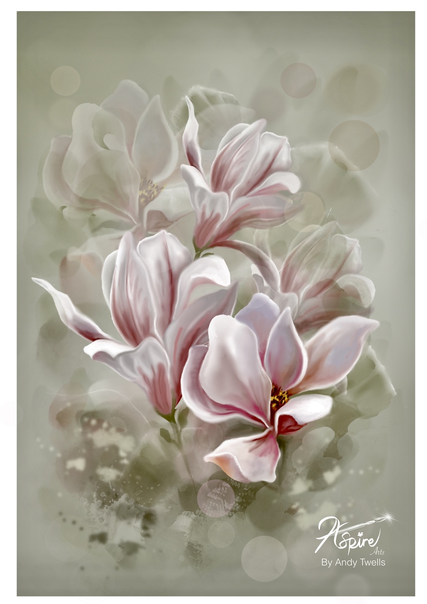 Yulan Japanese Magnolia