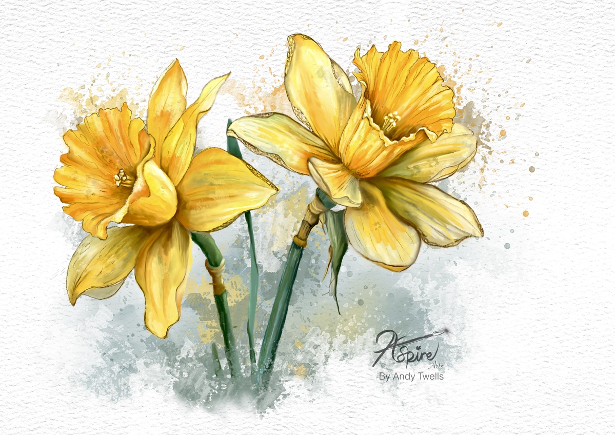 SPRING SPRUNG