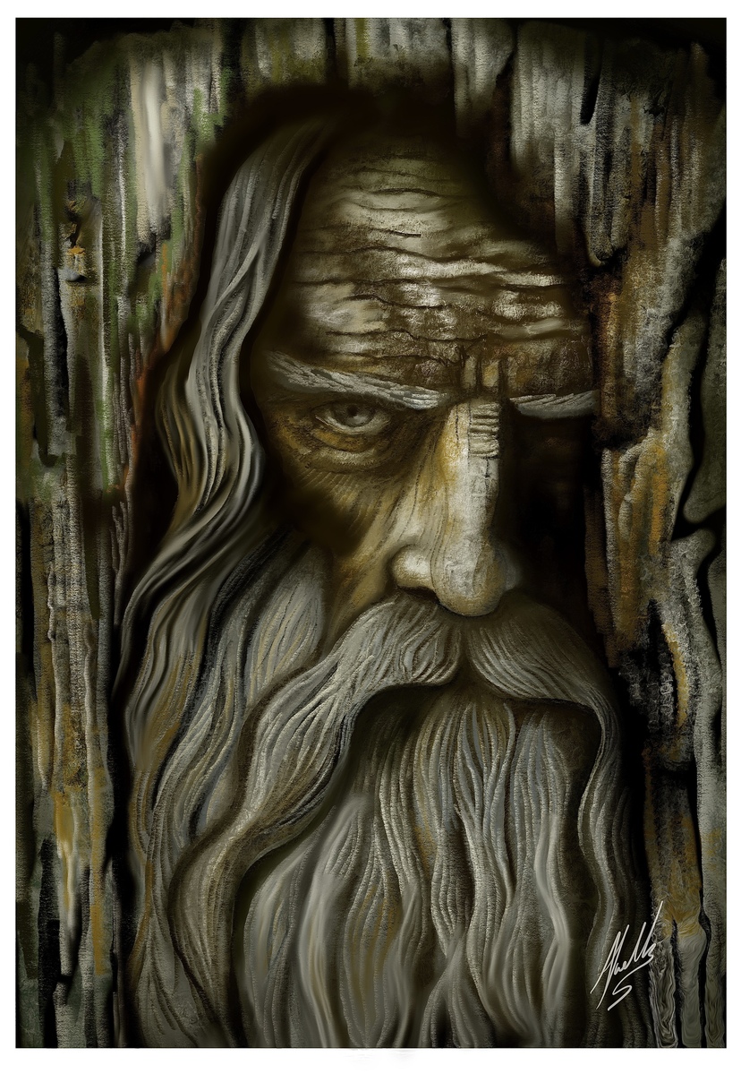 Spirit in the Woods