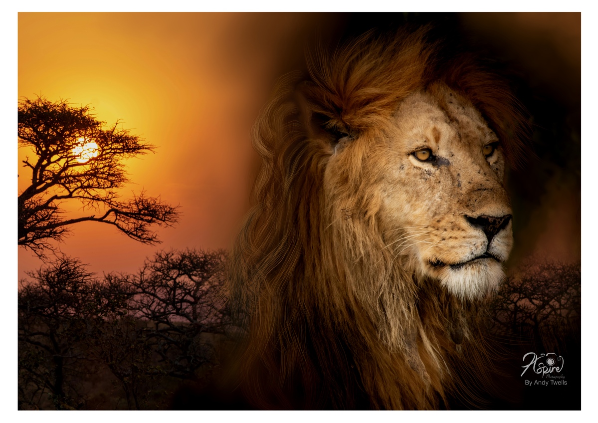 African Blend â remastered