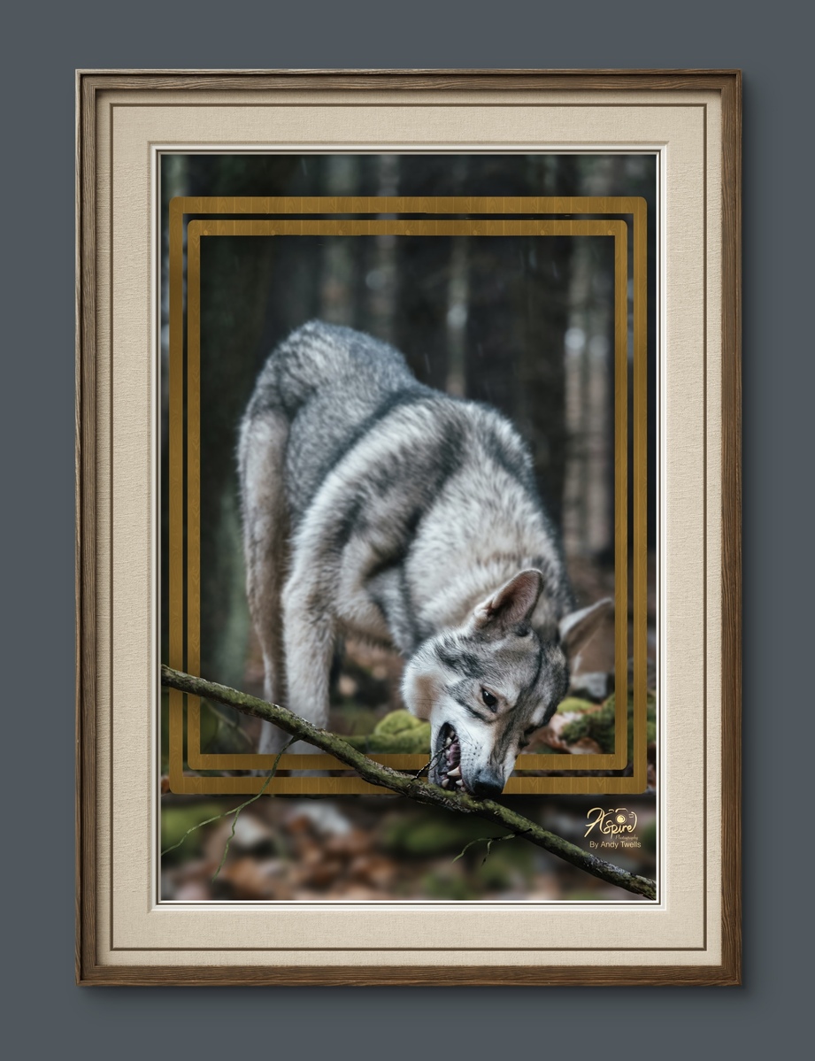 Nanuk The Husky â remastered