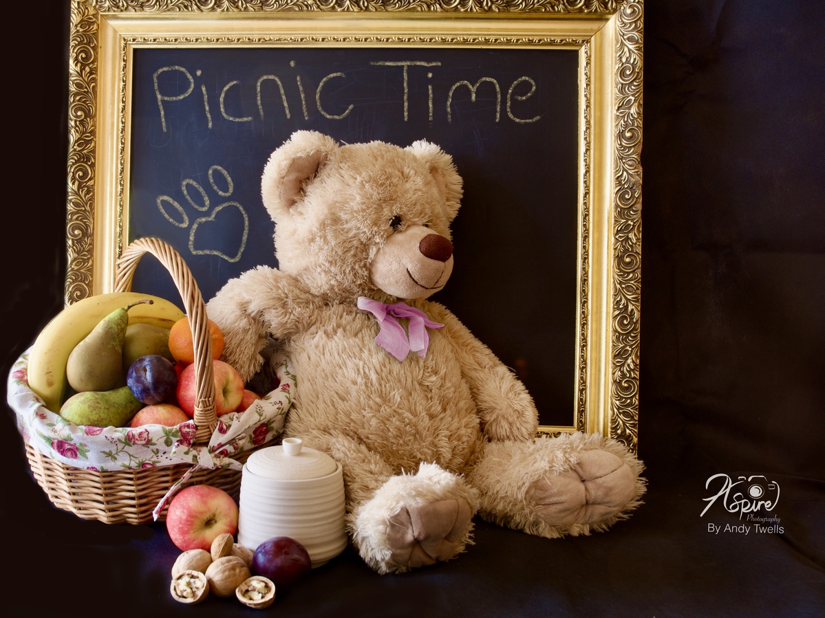 Paws for Lunch Paws for Lunch