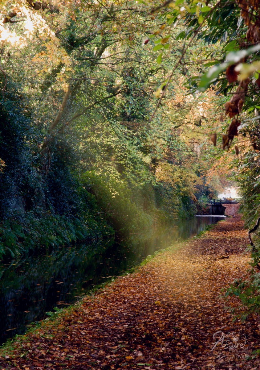 Tyrley locks foot path