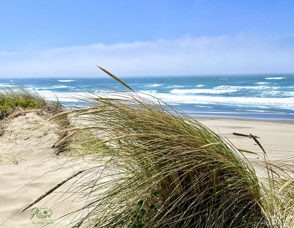Pacific Coast Oregon 